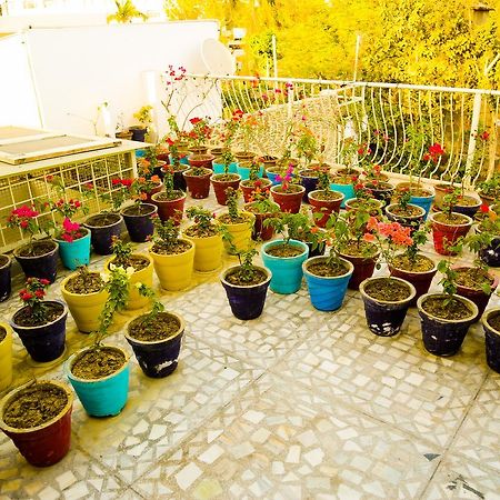 Safarnama Agra Bed & Breakfast Ngoại thất bức ảnh